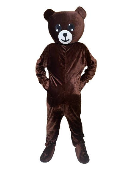 Chocolate color small head teddy bear Rizvi Online Shopping