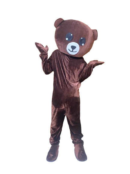 Chocolate color big head teddy bear Rizvi Online Shopping