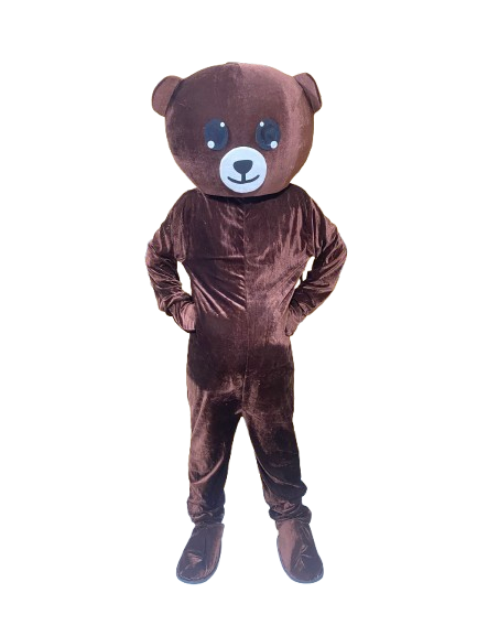 Chocolate color big head teddy bear Rizvi Online Shopping