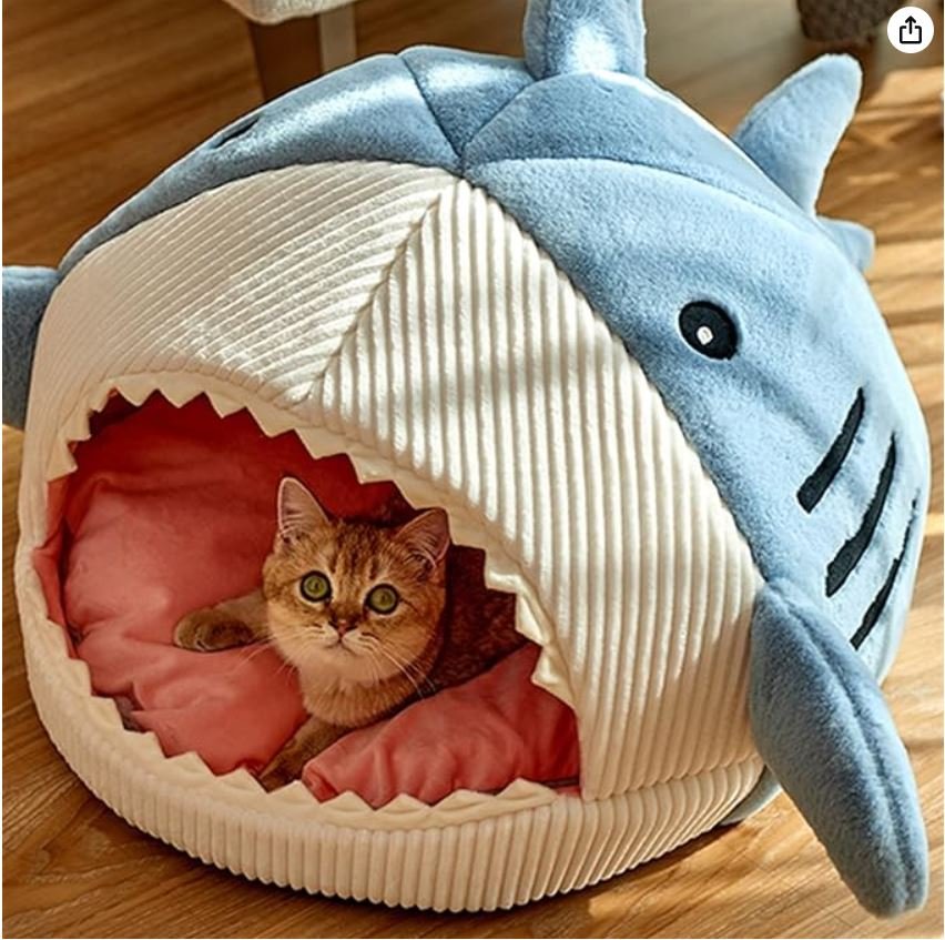 Meow Mansion and  Kitty Castle   house  Rizviso